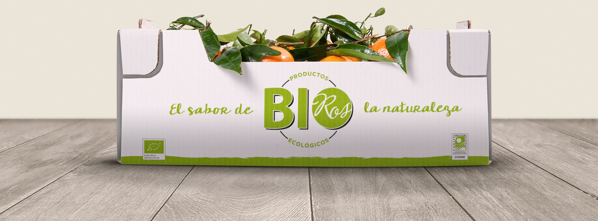 Ros Bio cardboard box - Eclectick Studio