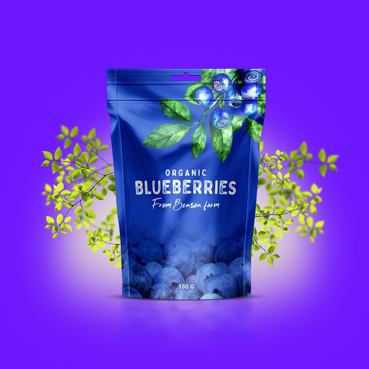 Eclectick Studio packaging design blueberries